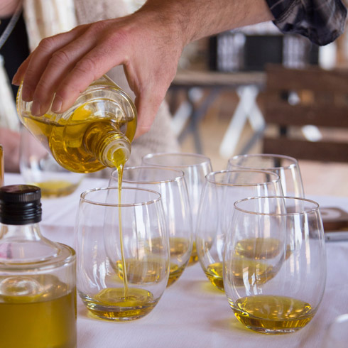 Olive oil tasting & wine tasting