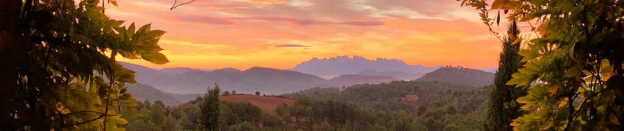 Retraite d’un jour: Qui suis-je ? Retraite d’un jour: Qui suis-je ?