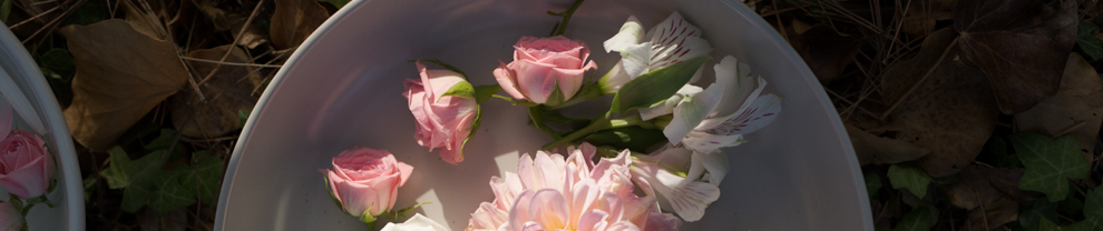 Retiro: Cultiva tu Belleza Natural