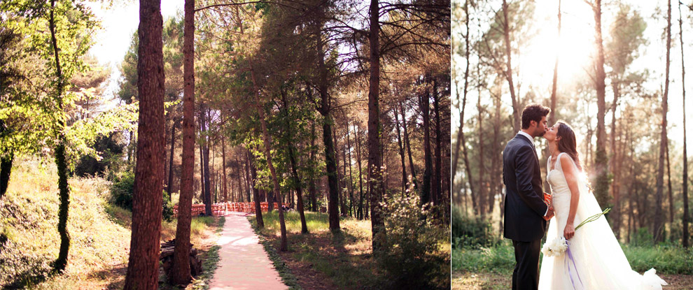 Cerimònia al Bosc