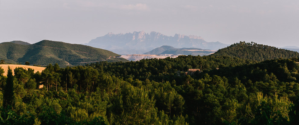 Aperitiu a l'aire lliure